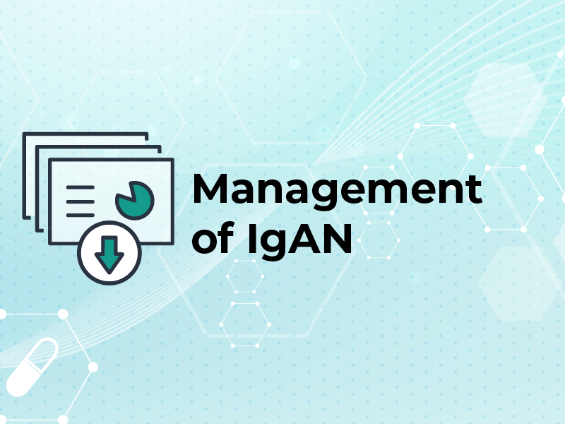 Patient Outcomes in IgAN