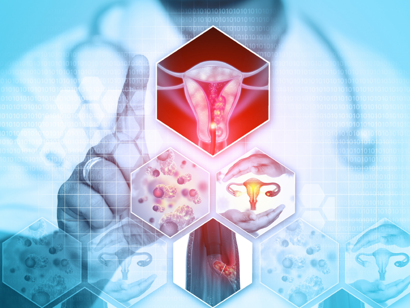 Gyn Cancer Updates: ESMO 2024