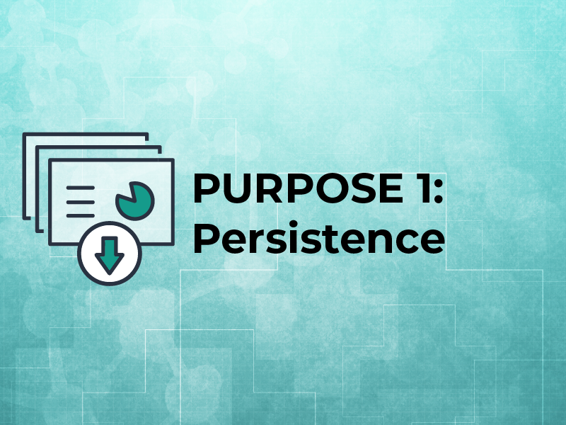 PURPOSE 1: Persistence