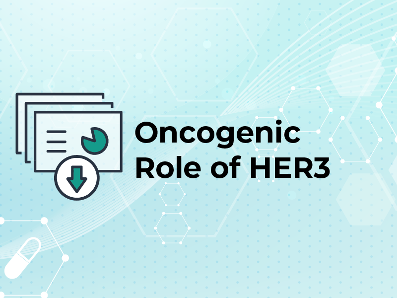 Oncogenic Role of HER3