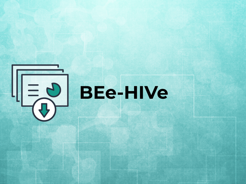 BEe HIVe