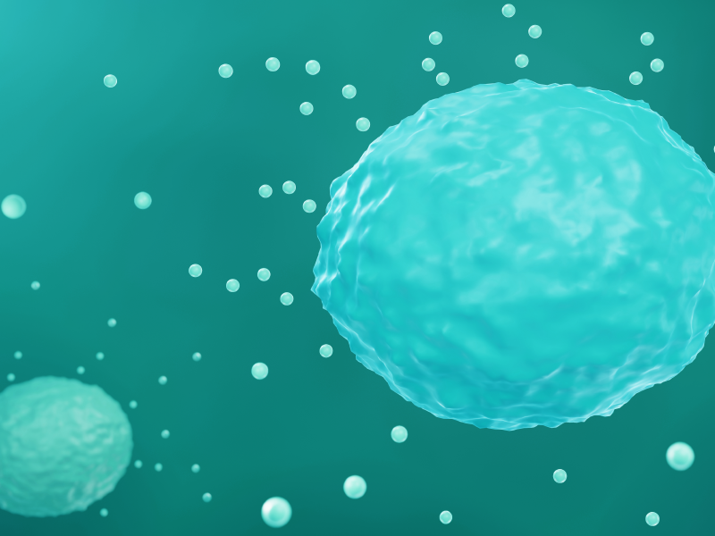 ProCE Banner Activity