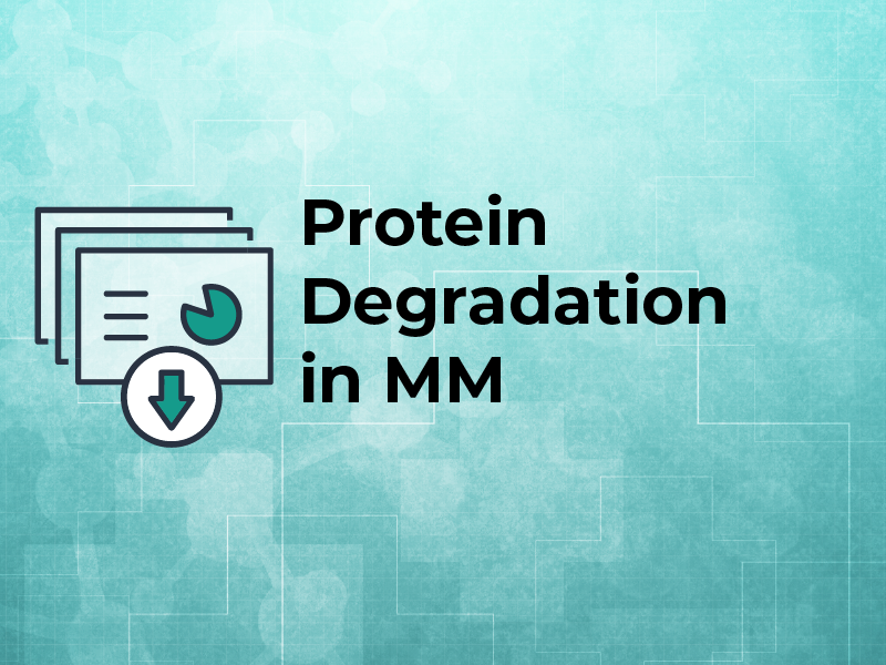 Protein Degradation in MM