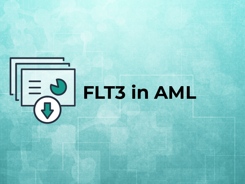 FLT3 in AML