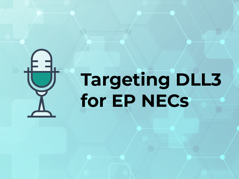 Targeting DLL3 for EP NECs