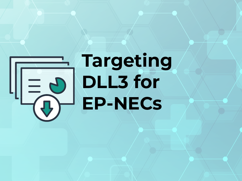 Targeting DLL3 for EP NECs