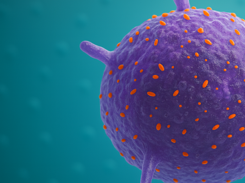 Improving Systemic Mastocytosis Detection