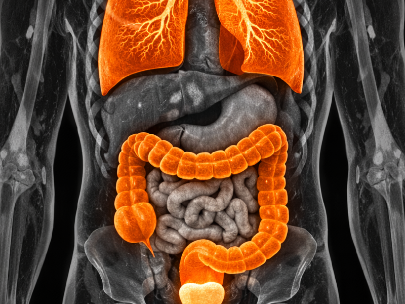 NSCLC biomarker testing