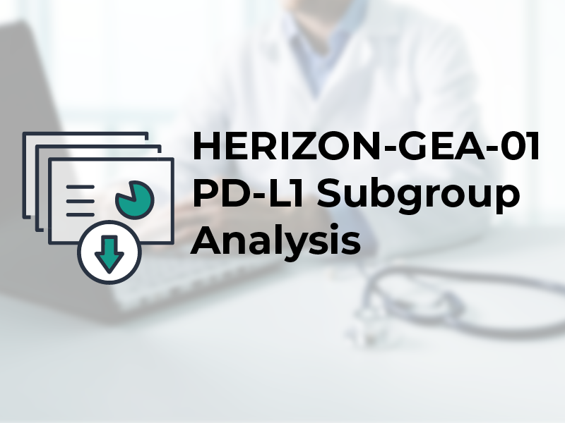 HERIZON GEA 01 PDL1 Subgroup Analysis