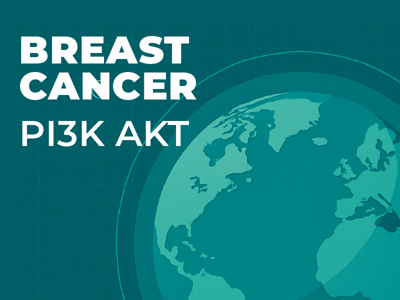 PI3K AKT Therapies for HRpos HER2neg ABC