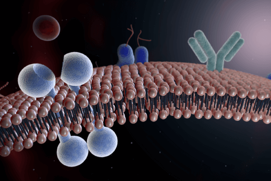 JAK-STAT Inhibition in Atopic Dermatitis