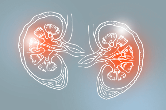 Hyperuricemia and Renal Disease