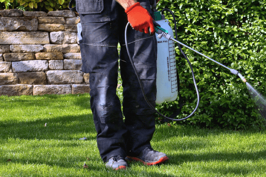 Pesticide Poisoning: What APPs Should Know