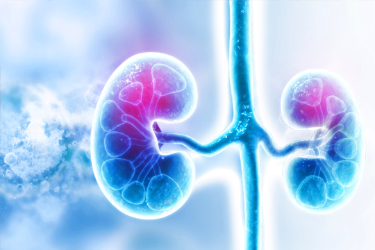 Acute Renal Failure After Cancer Treatment